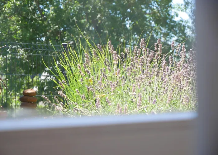 Ferienwohnung Mit Garten